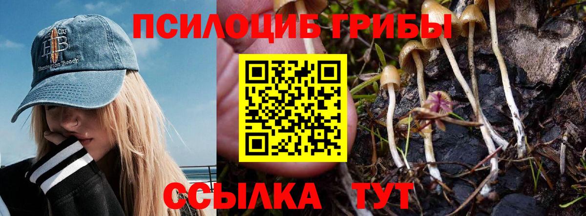 Тобольск  Галлюциногенные грибы Psilocybine cubensis  Вход с VPN  Галлюциногенные грибы мицелий 